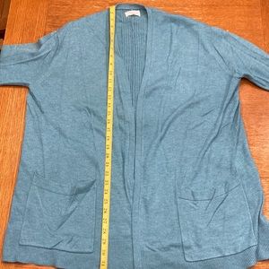 Soft and beautiful Lou & Grey sweater!